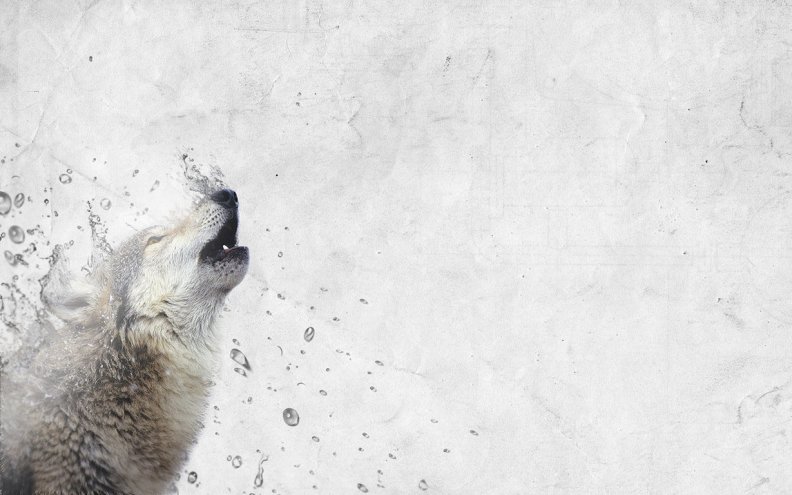 howl_of_the_wolves.jpg