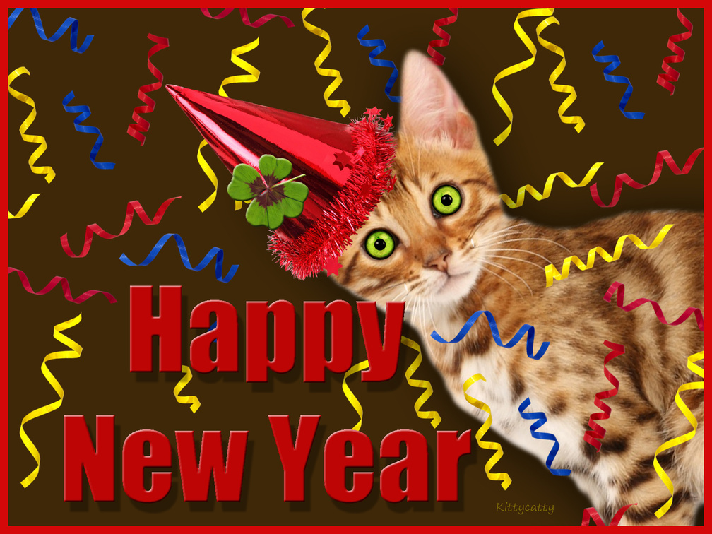 ♥ Happy New Years Kitty ♥