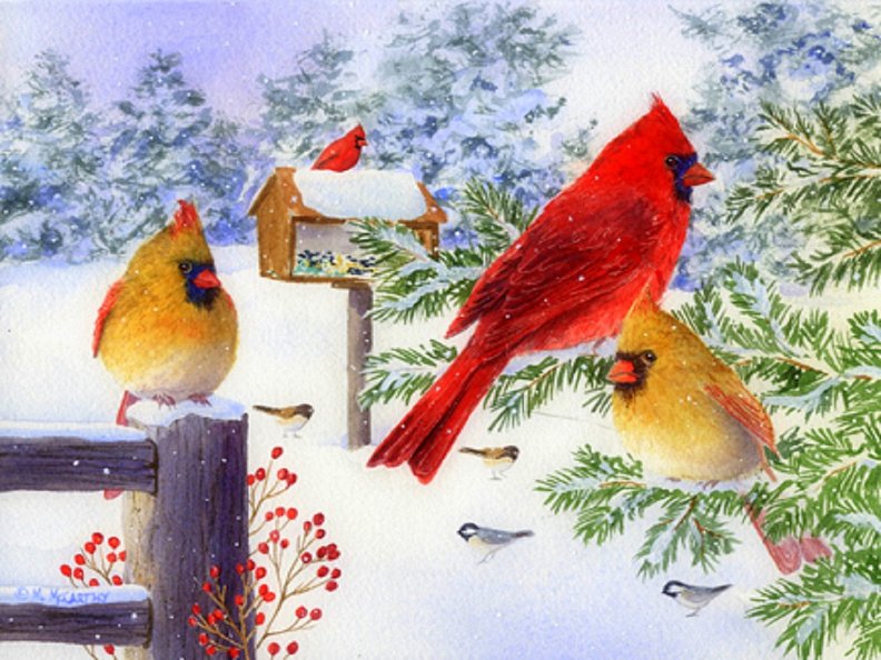 cardinals_in_snow_flurry.jpg