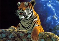 Fantasy Tiger