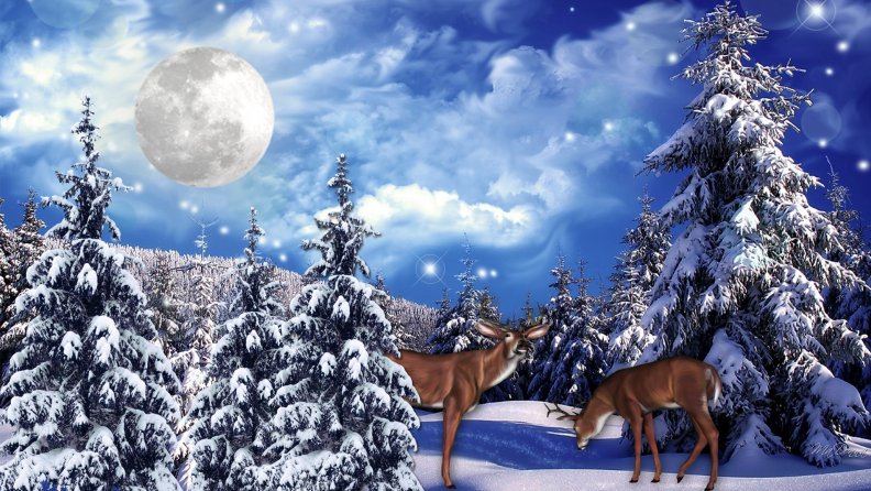 fantasy_winter_forest.jpg