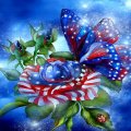 butterfly_ideas_in_patriotism.jpg