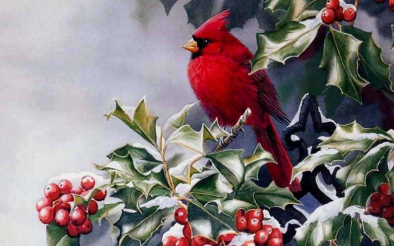 red_winter_bird.jpg