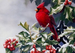 RED WINTER BIRD