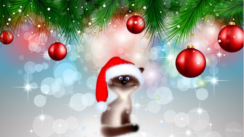 silly_christmas_cat.jpg