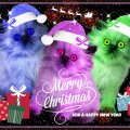 ♥ *Merry*Christmas*To*Everyone* ♥