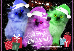 ♥ *Merry*Christmas*To*Everyone* ♥