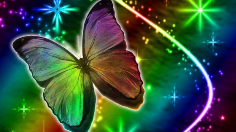 butterfly_dreams.jpg