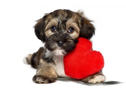 Puppy Love II