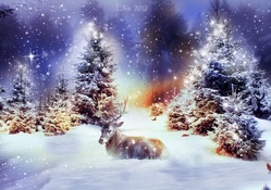 a winter tale _ christmas in lapland