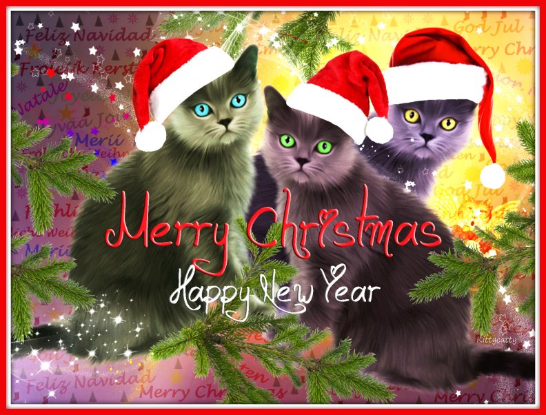 christmas_cats.jpg