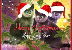 ♥ Christmas Cats ♥