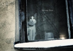 ...let me free..