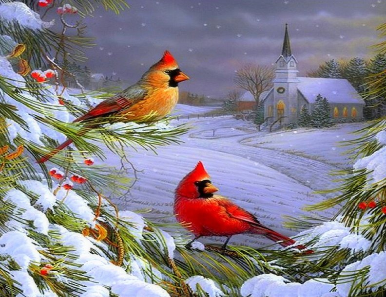 cardinals_in_winter.jpg
