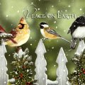 Peace on Earth F1