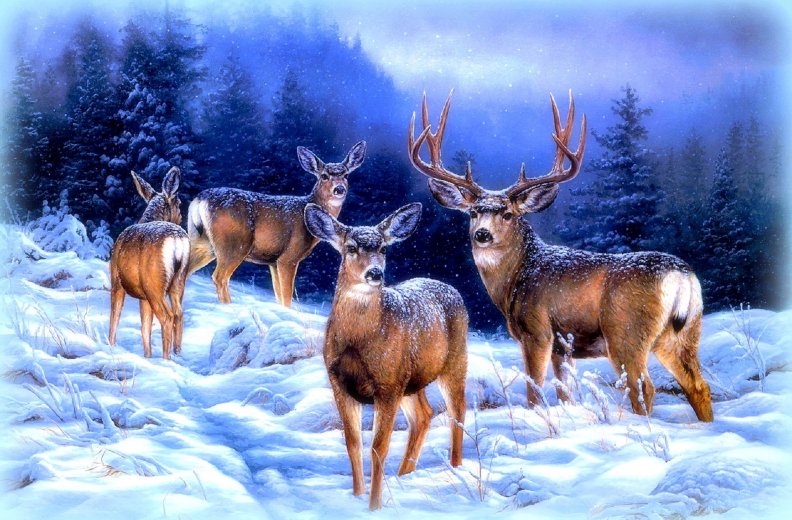 ★Reindeer Forest in Winter★