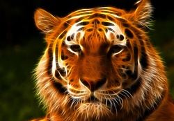 Fractal tiger