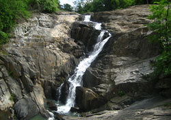 Waterfall in Wayanad Kerala