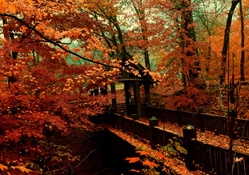 Autumn Foliage above a Bridge