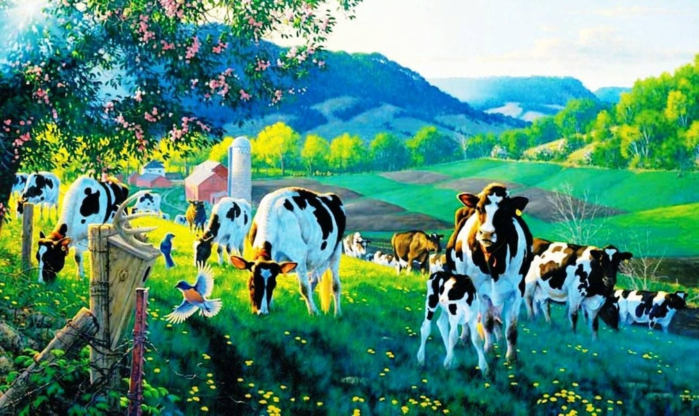 Dairy Cow, cow easter HD wallpaper | Pxfuel