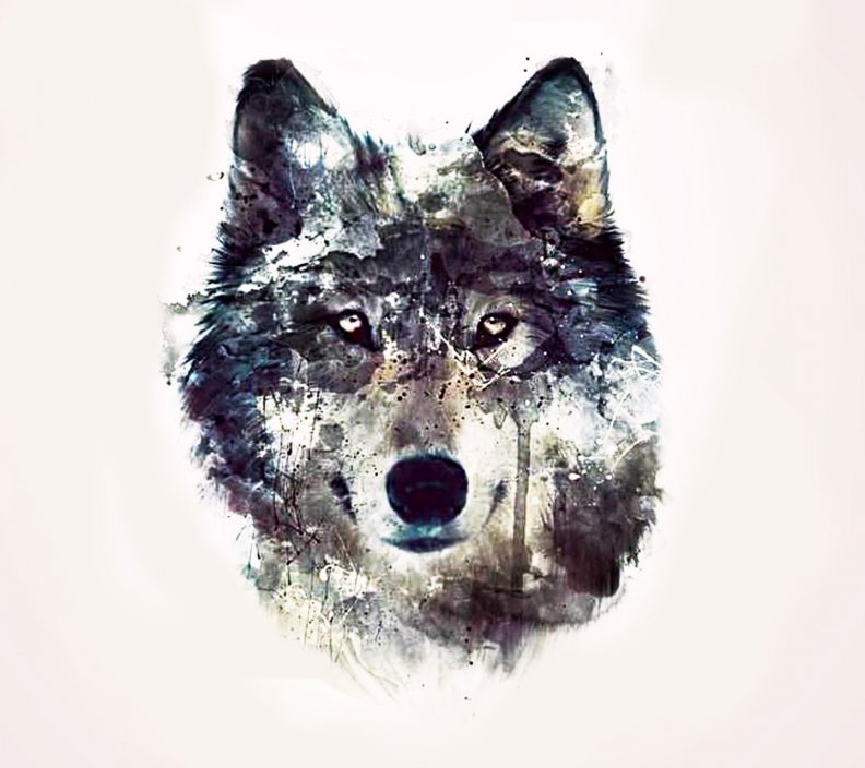 wolf_art.jpg