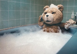 ted bear shower