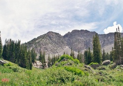 Utah Mountain