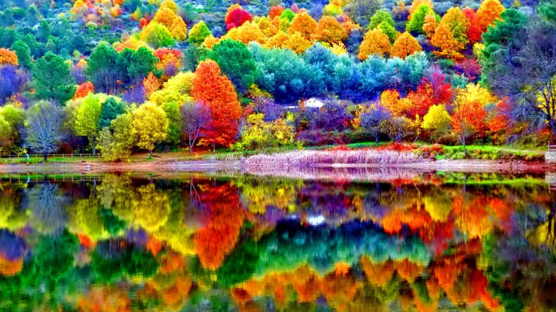 beautiful_autumn_scenery.jpg