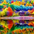 Beautiful autumn scenery