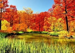 POND in AUTUMN with RED FOREST LEAVES
