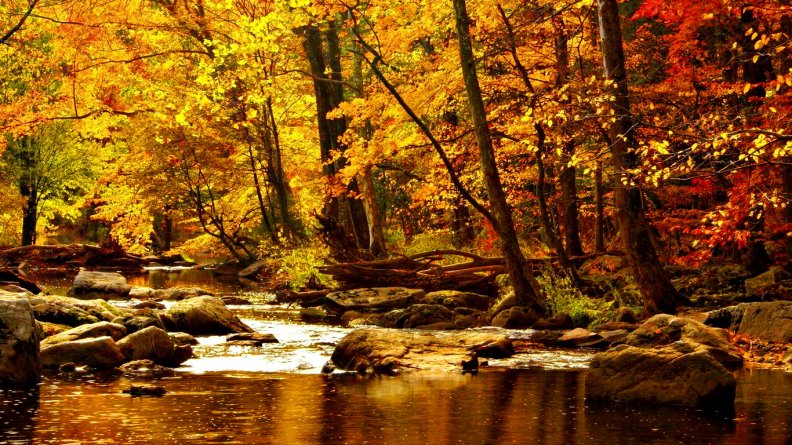 Autumn forest river Download HD Wallpapers and Free Images