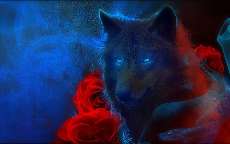 ~Wolf &amp; Red Roses~