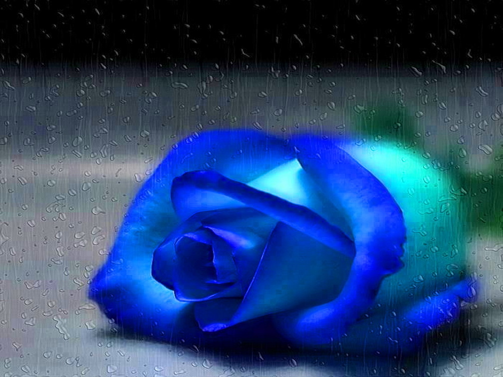 Blue for You