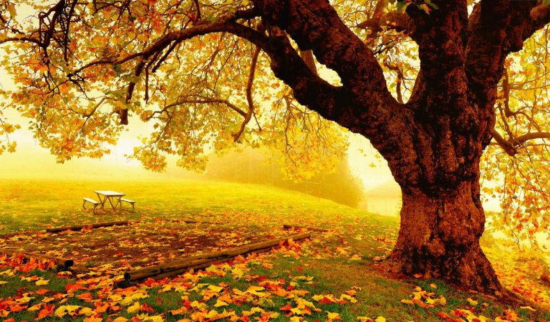 relaxing_autumn_park.jpg