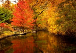 Colors of autumn