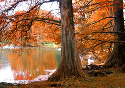 Pacific Lake in Autumn