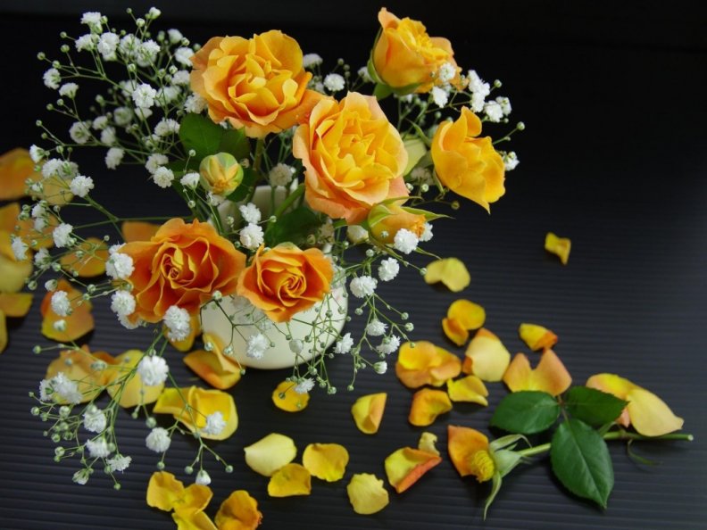 yellow_roses_and_petals.jpg