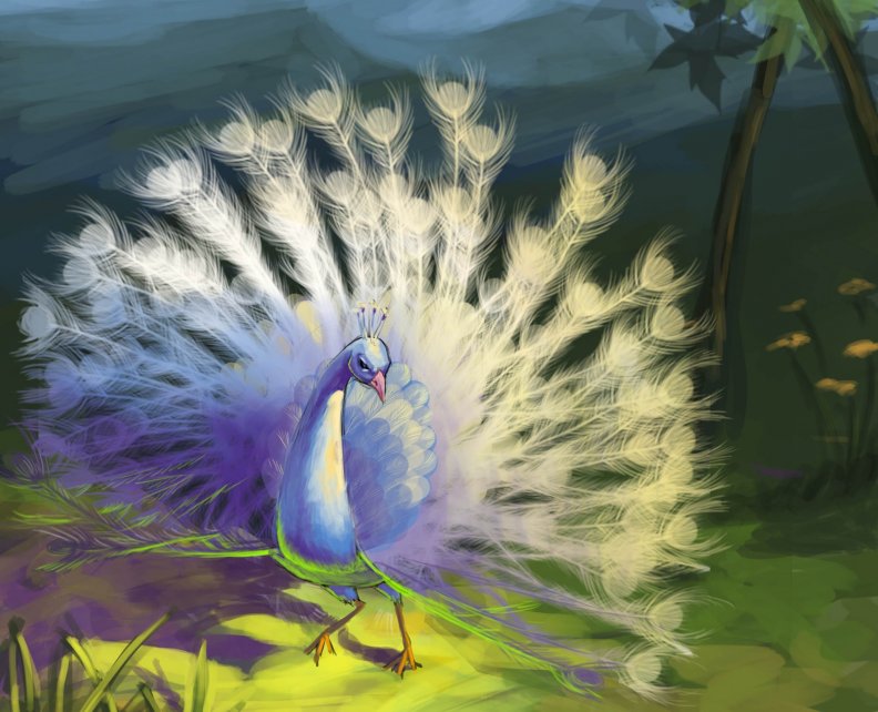 white_peacock.jpg