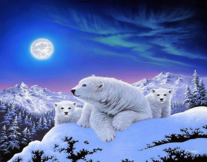 dreams_of_polar_bears.jpg