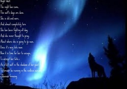 night wolf poem