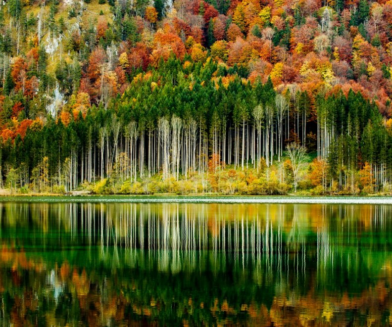 Autumn Forest Download HD Wallpapers and Free Images