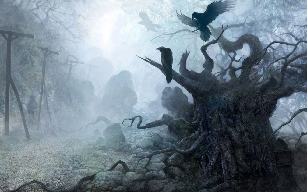 Crows on Tree in Clouds and Fog