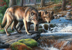 WOLVES IN NATURE