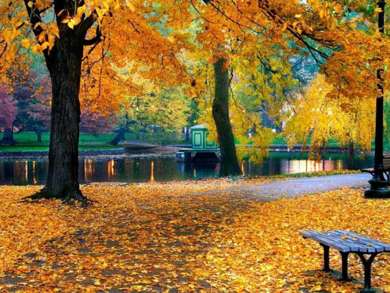 Autumnal park bench