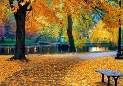 Autumnal park bench