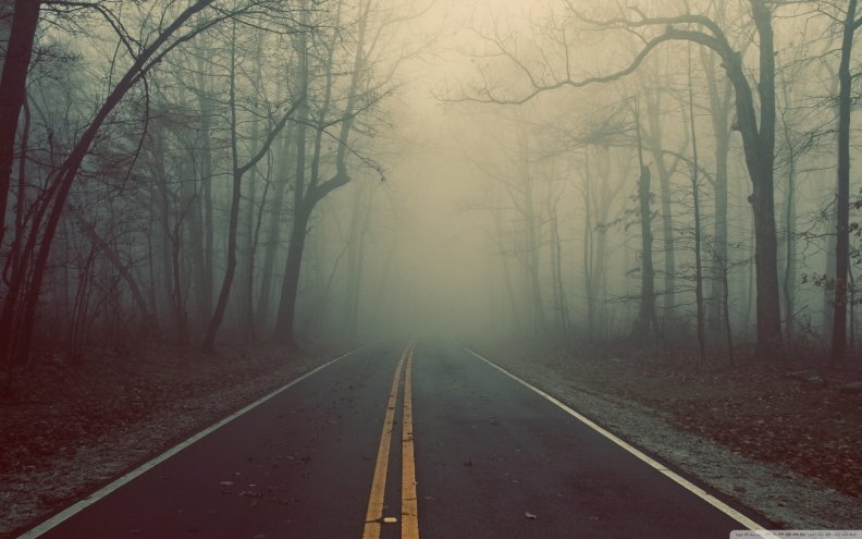 foggy_road.jpg