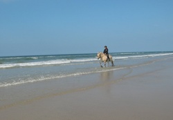 Horseriding at the beach