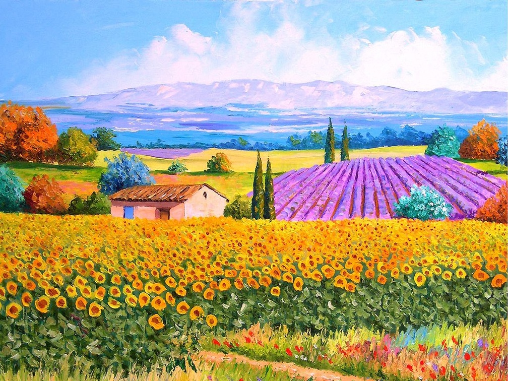 Sunflower and Lavender Field
