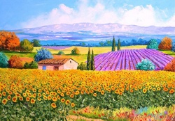 Sunflower and Lavender Field