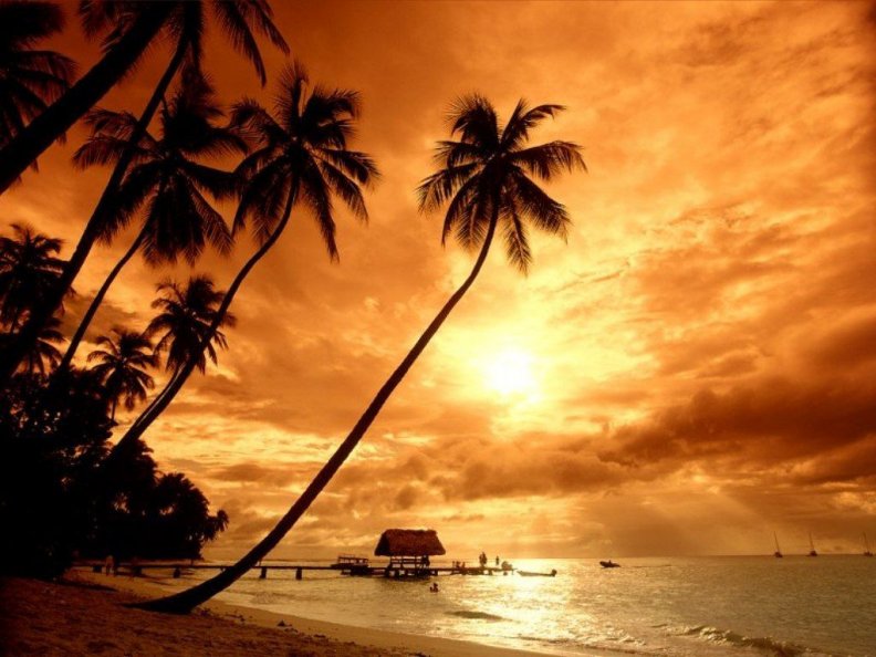 tropical_beach_sunset.jpg